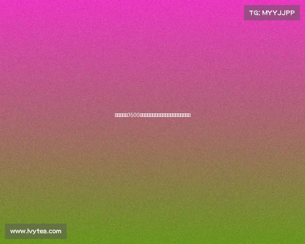 维拉以最高3500万欧元签下尼斯前锋盖桑，正式加入英超阵容